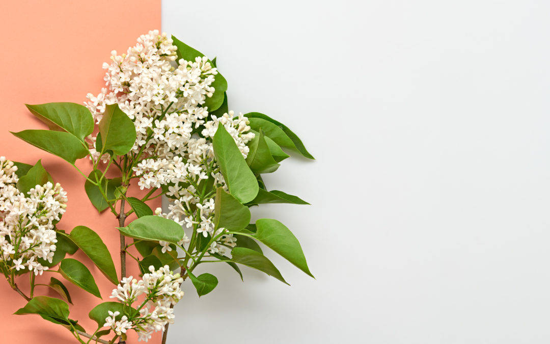 5. Mai 2021 – Frauenverwöhnabend